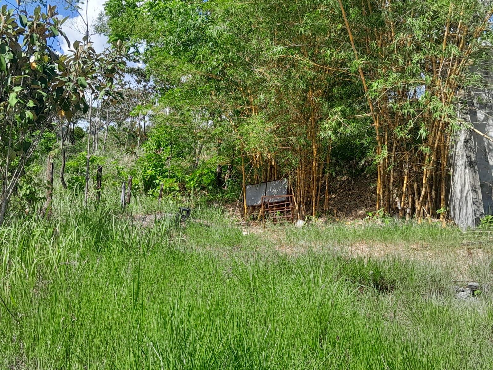 res-00005b0a-13.jpg