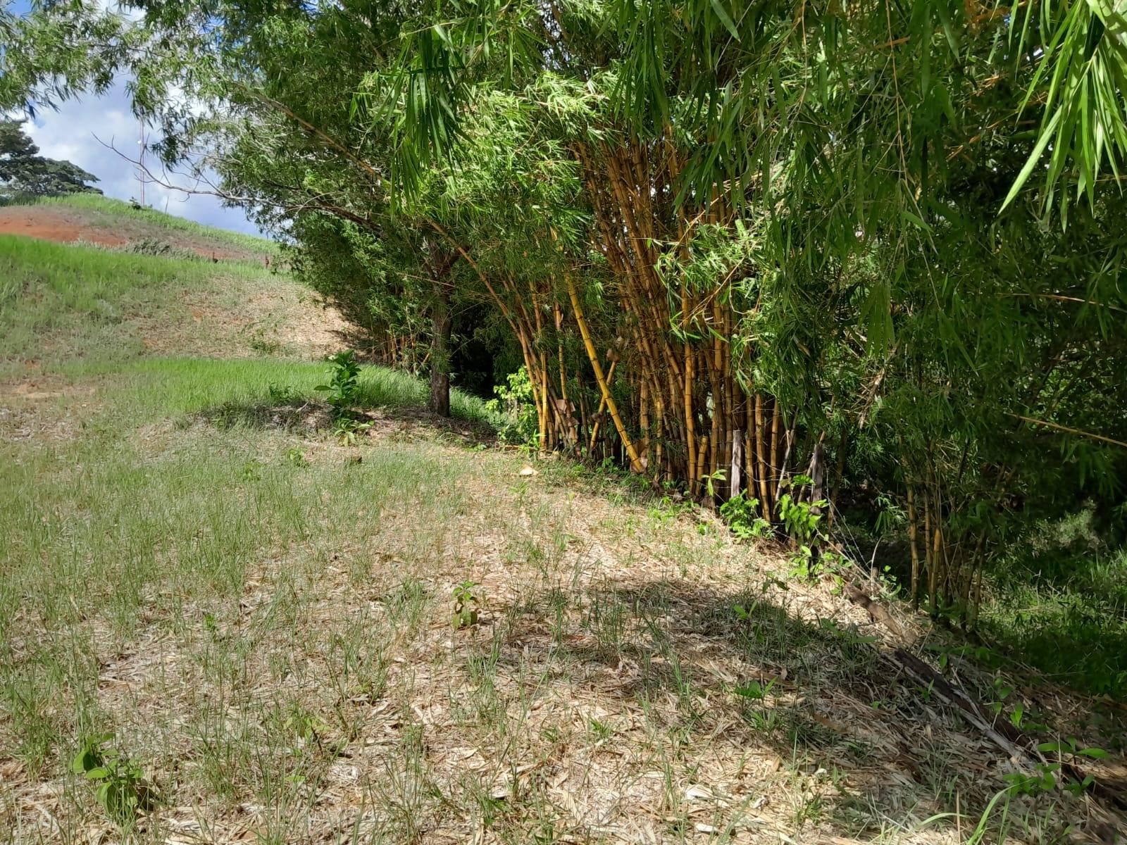 res-00005b0a-16.jpg