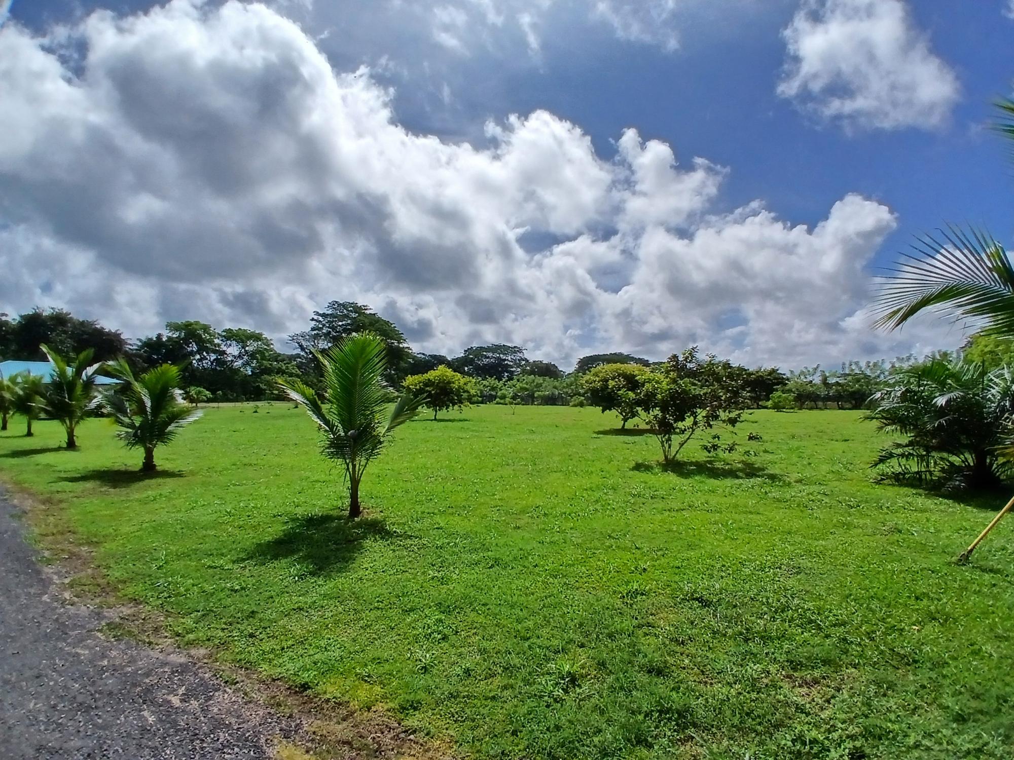 res-00005b0f-02.jpg