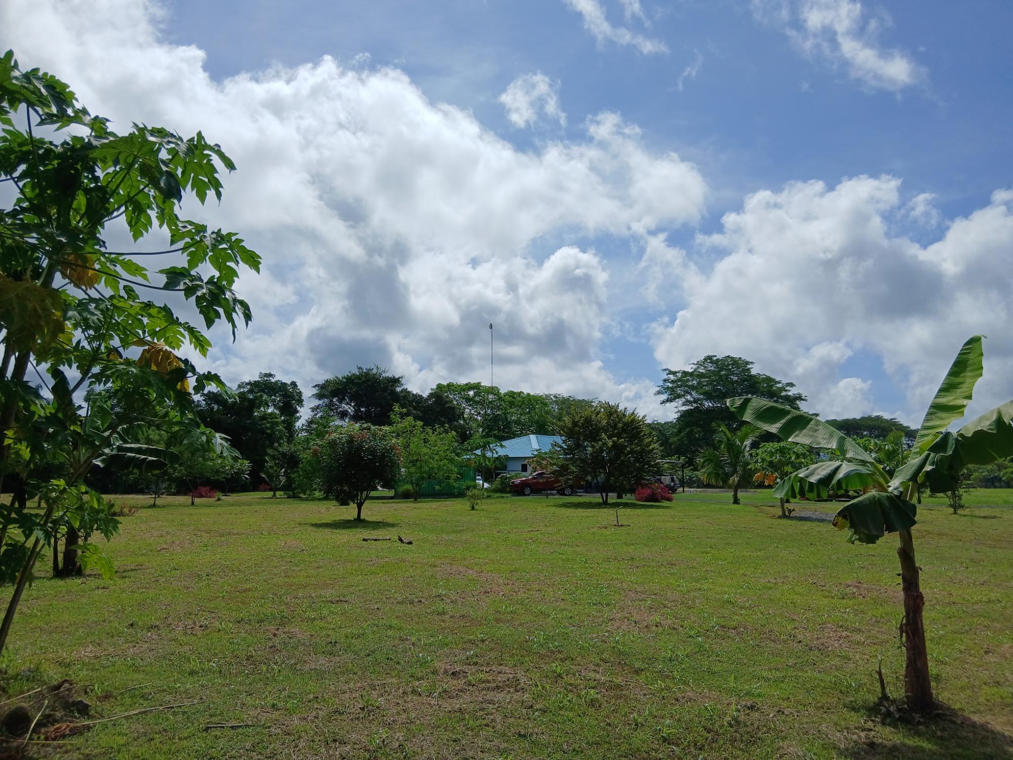 res-00005b0f-04.jpg