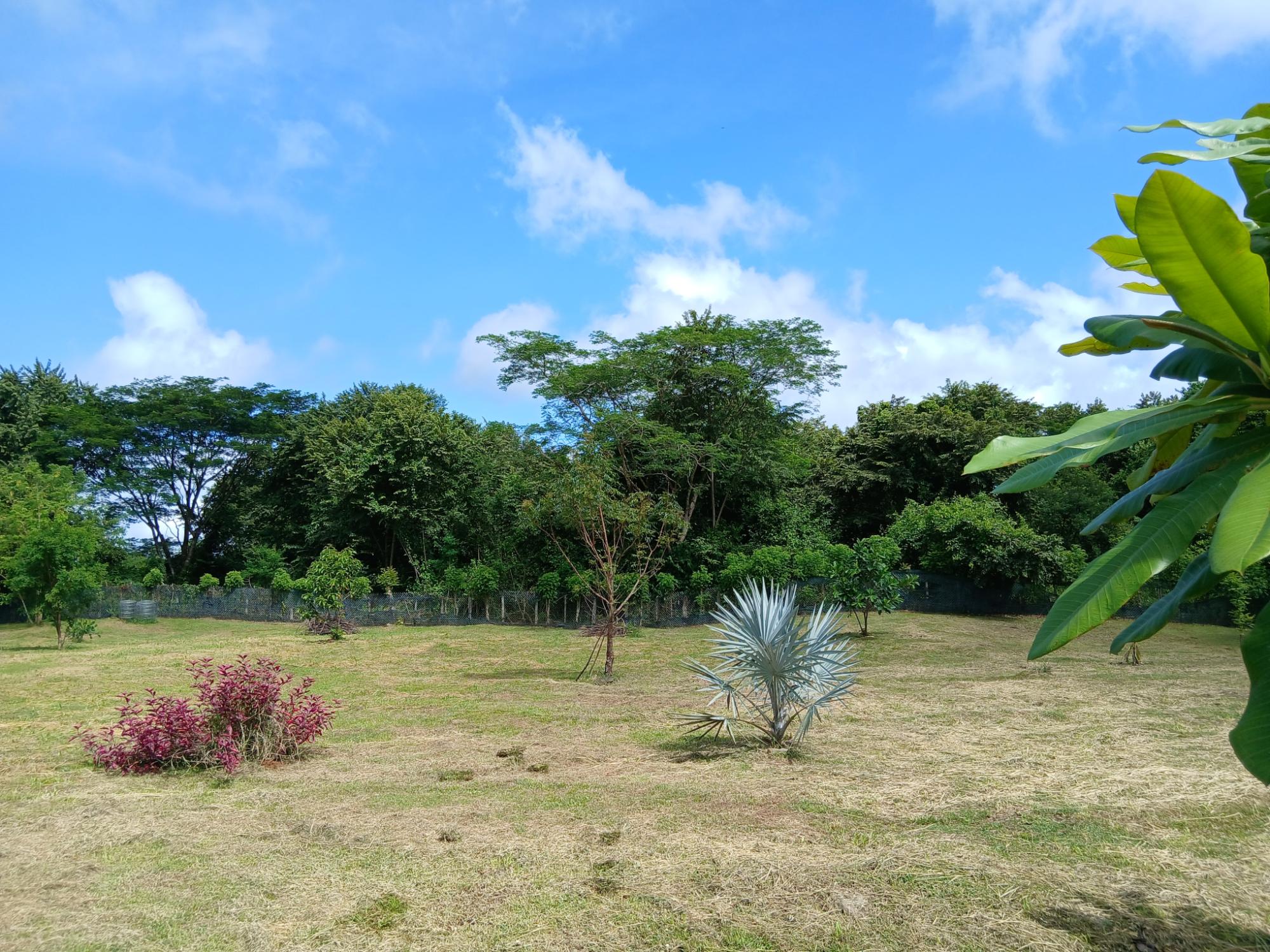 res-00005b0f-05.jpg