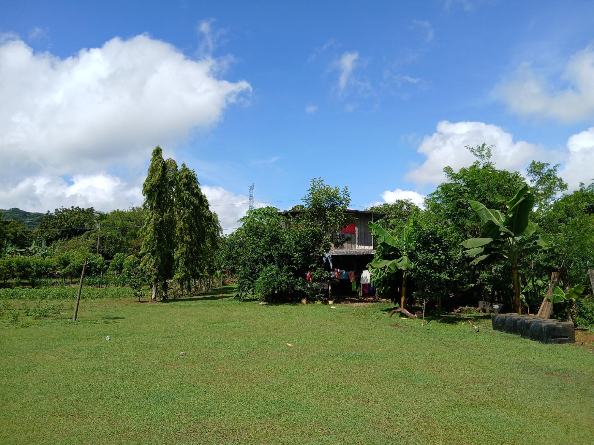 res-00005b0f-12.jpg