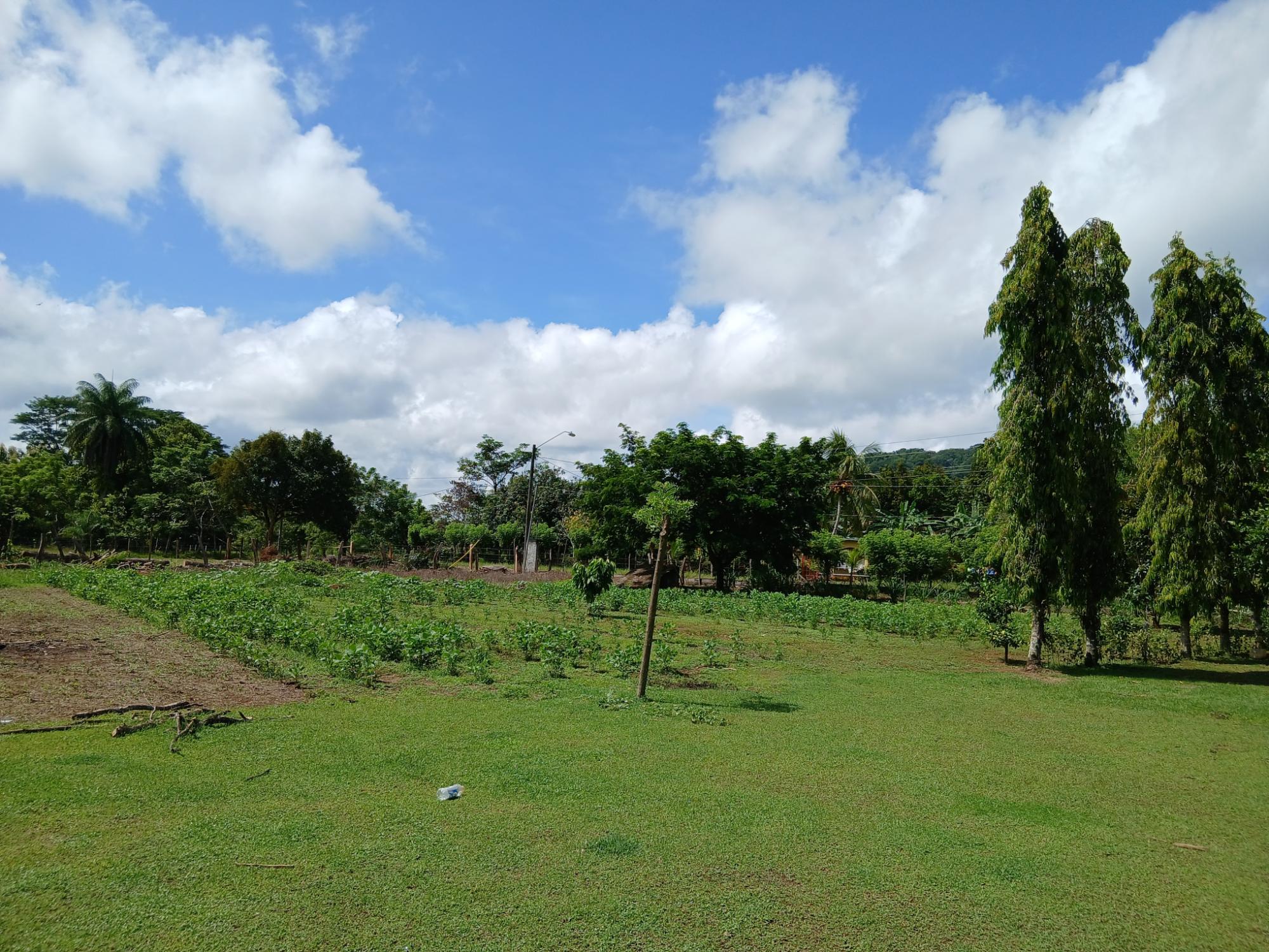 res-00005b0f-13.jpg