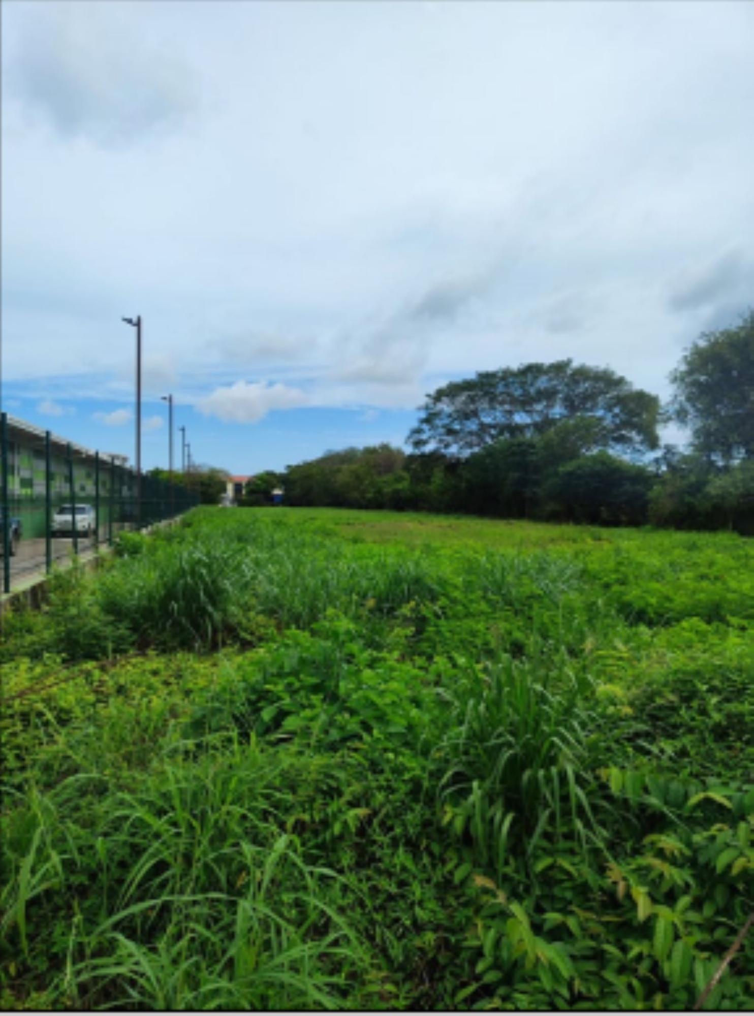 res-00005b5f-04.jpg