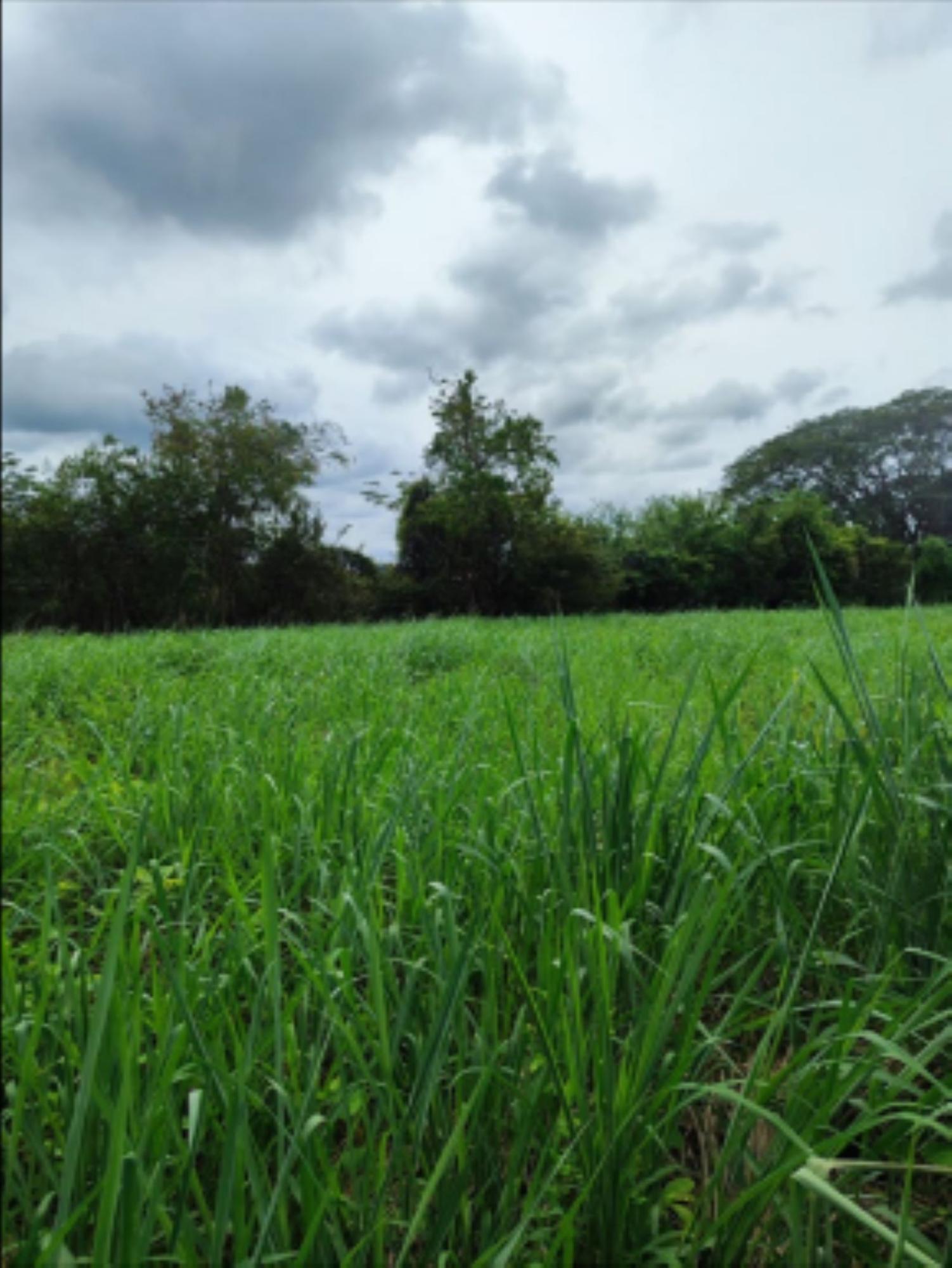 res-00005b5f-05.jpg