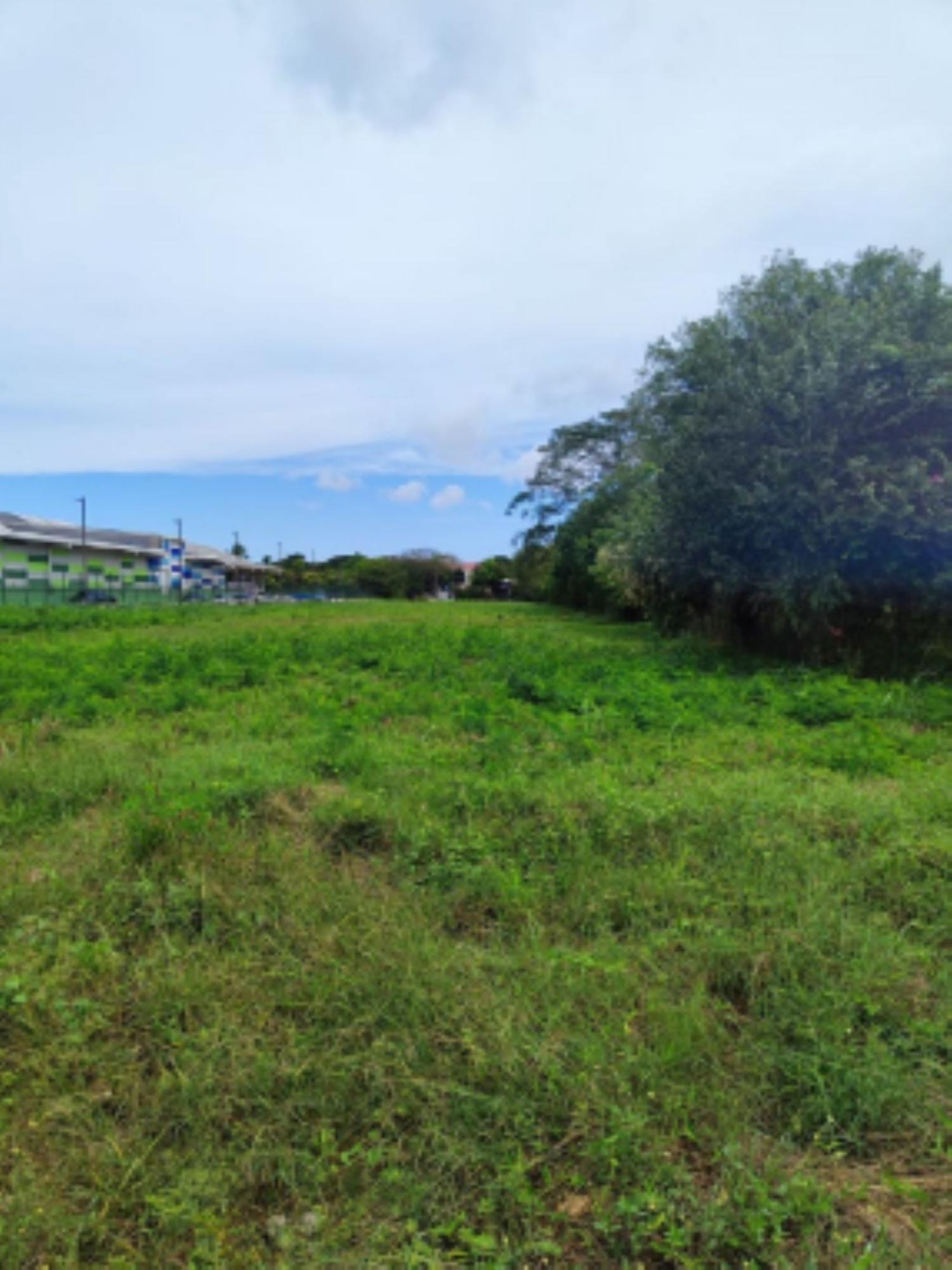 res-00005b5f-08.jpg