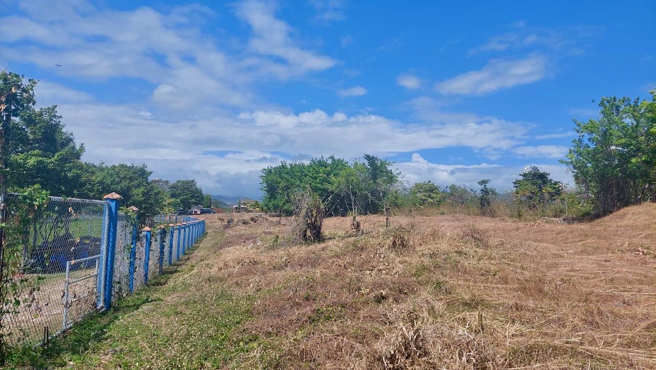 res-00005ba9-06.jpg