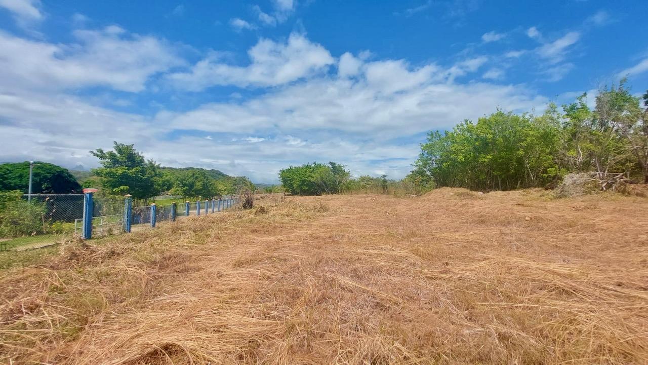 res-00005ba9-14.jpg