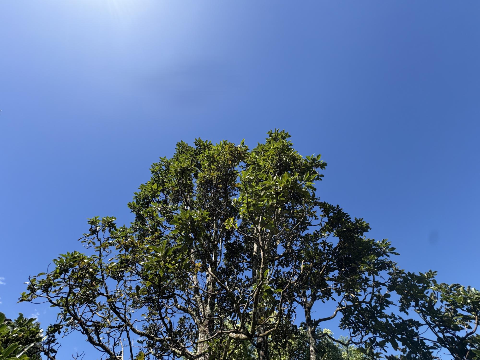 res-00005c00-08.jpg