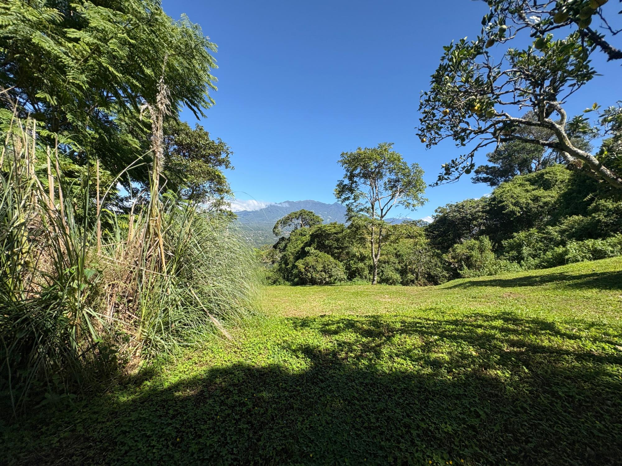res-00005c00-09.jpg