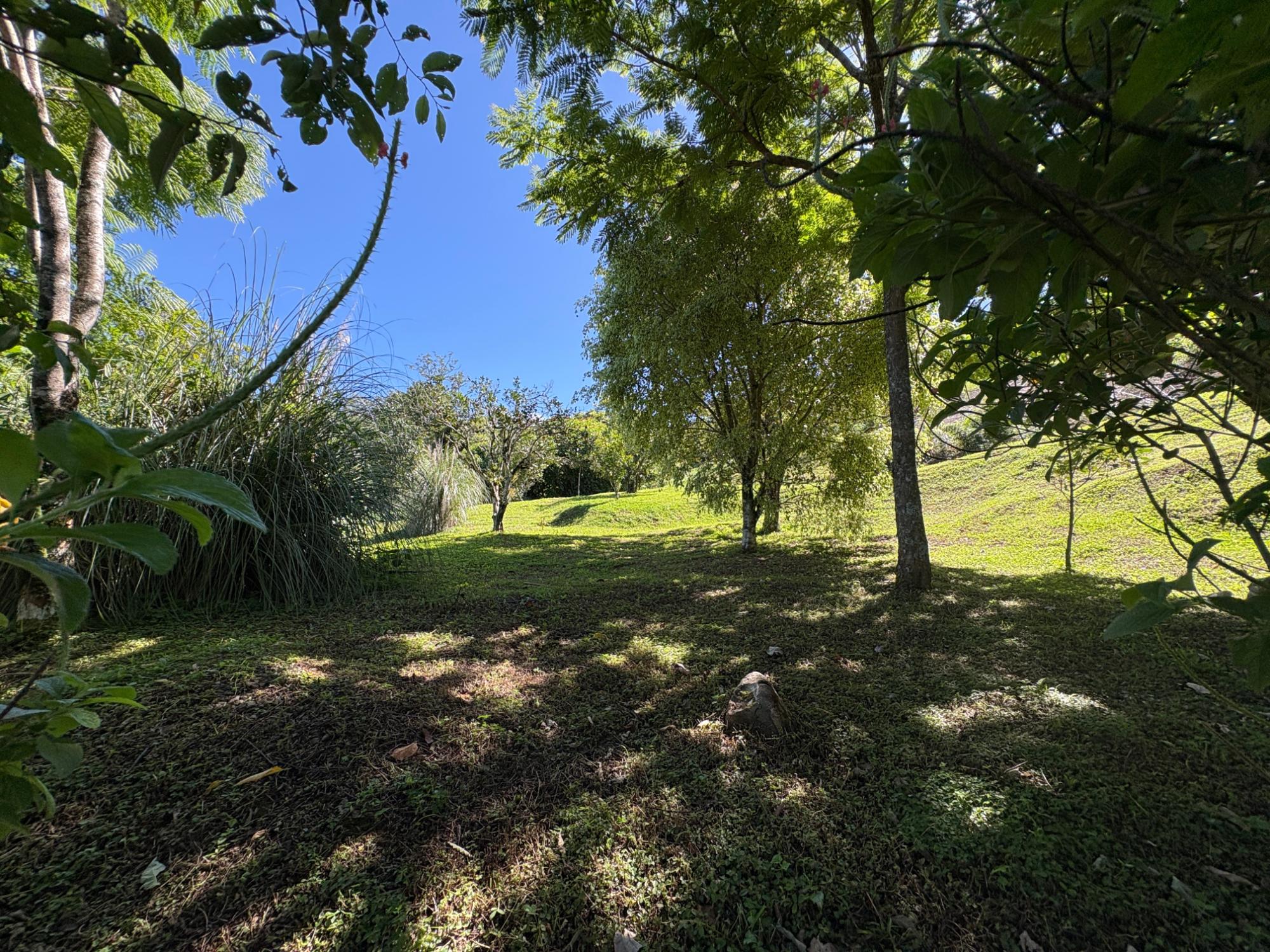 res-00005c00-15.jpg