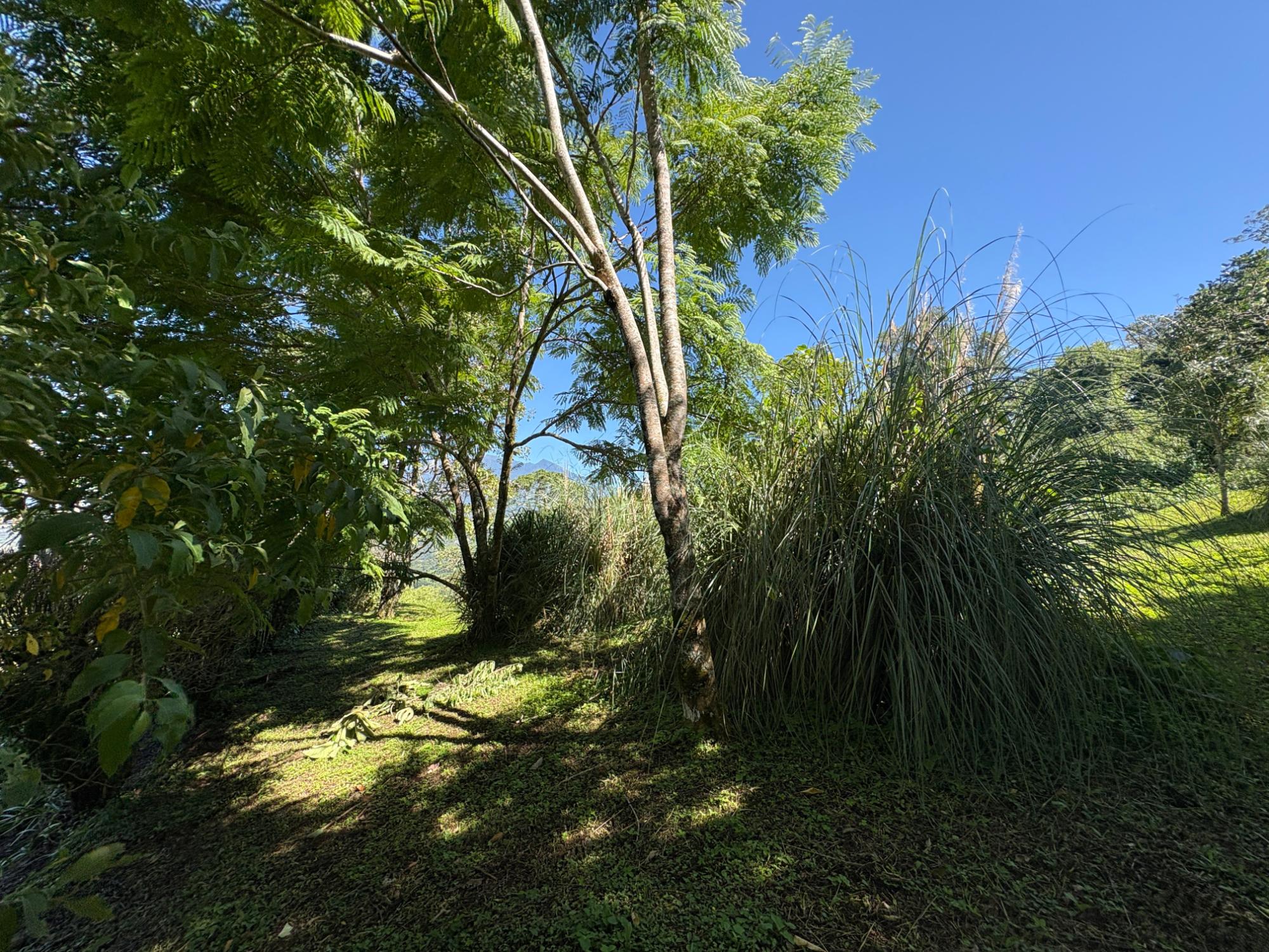 res-00005c00-17.jpg