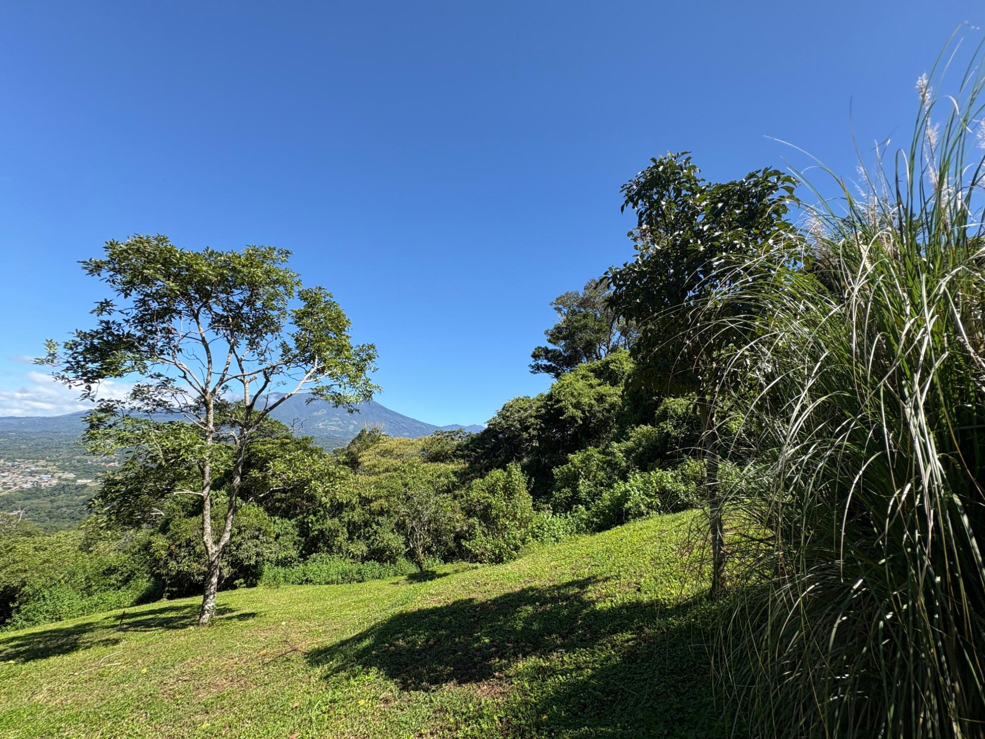 res-00005c00-20.jpg