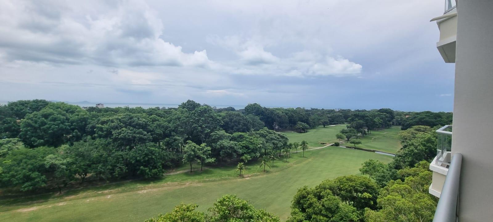 res-00005c0f-01.jpg