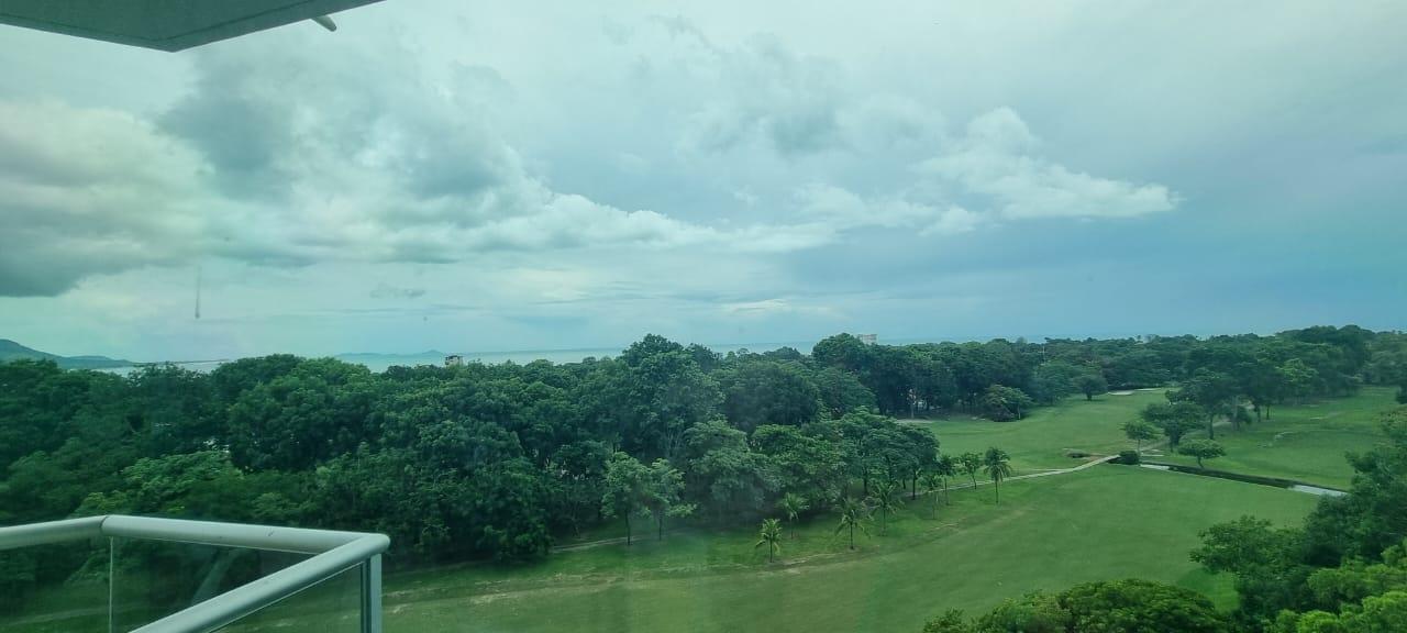 res-00005c0f-04.jpg