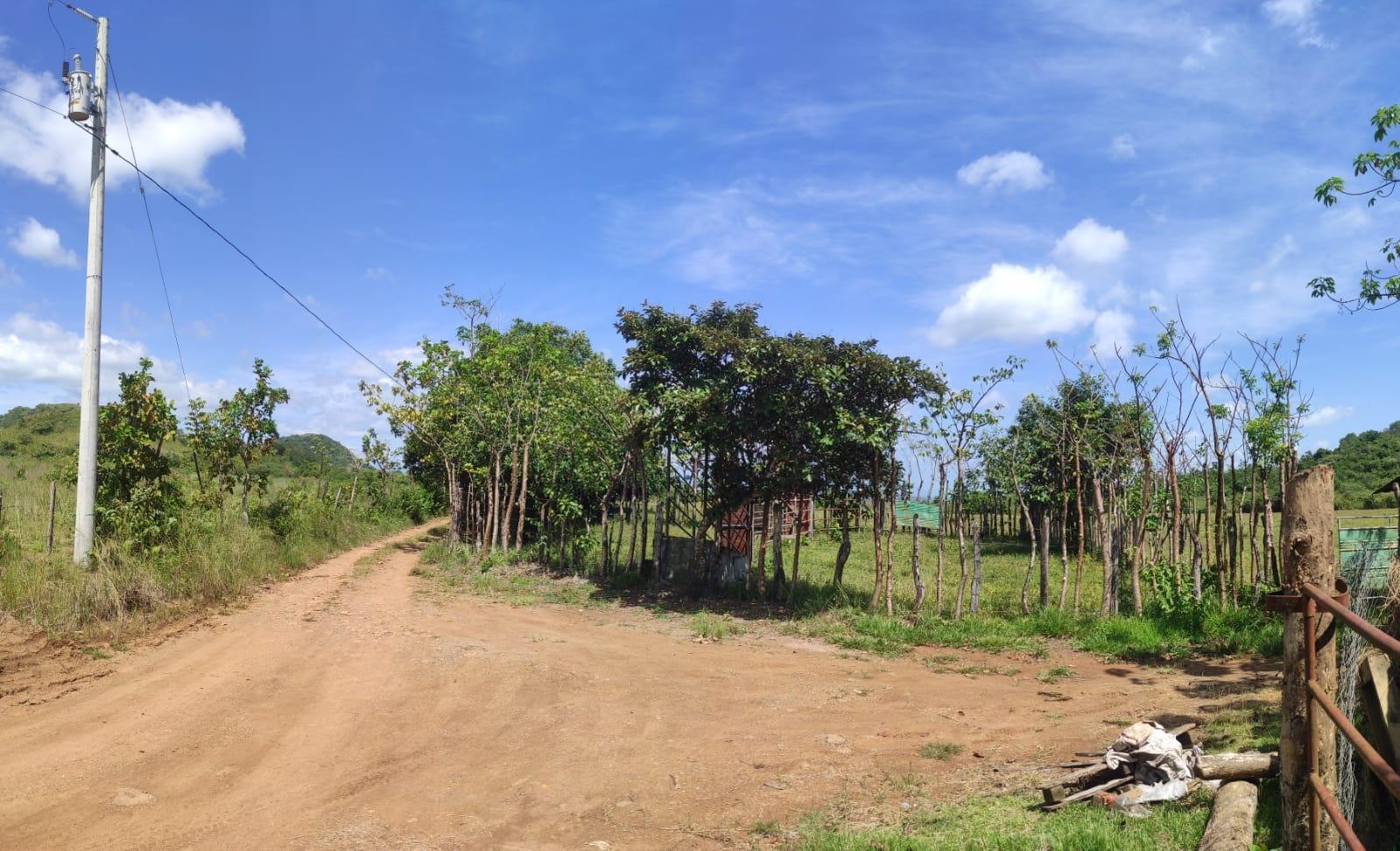 res-00005c23-03.jpg