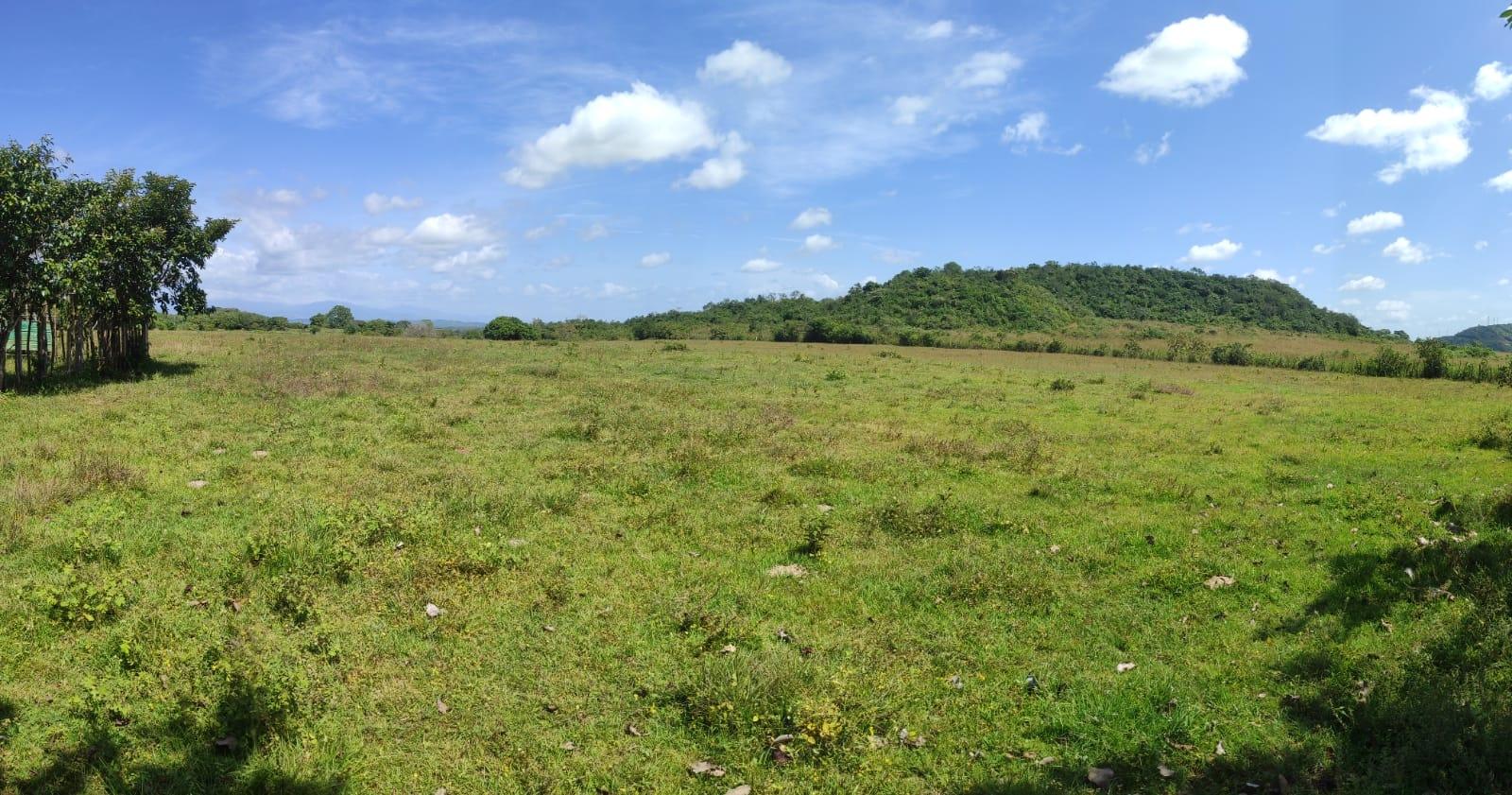 res-00005c23-04.jpg