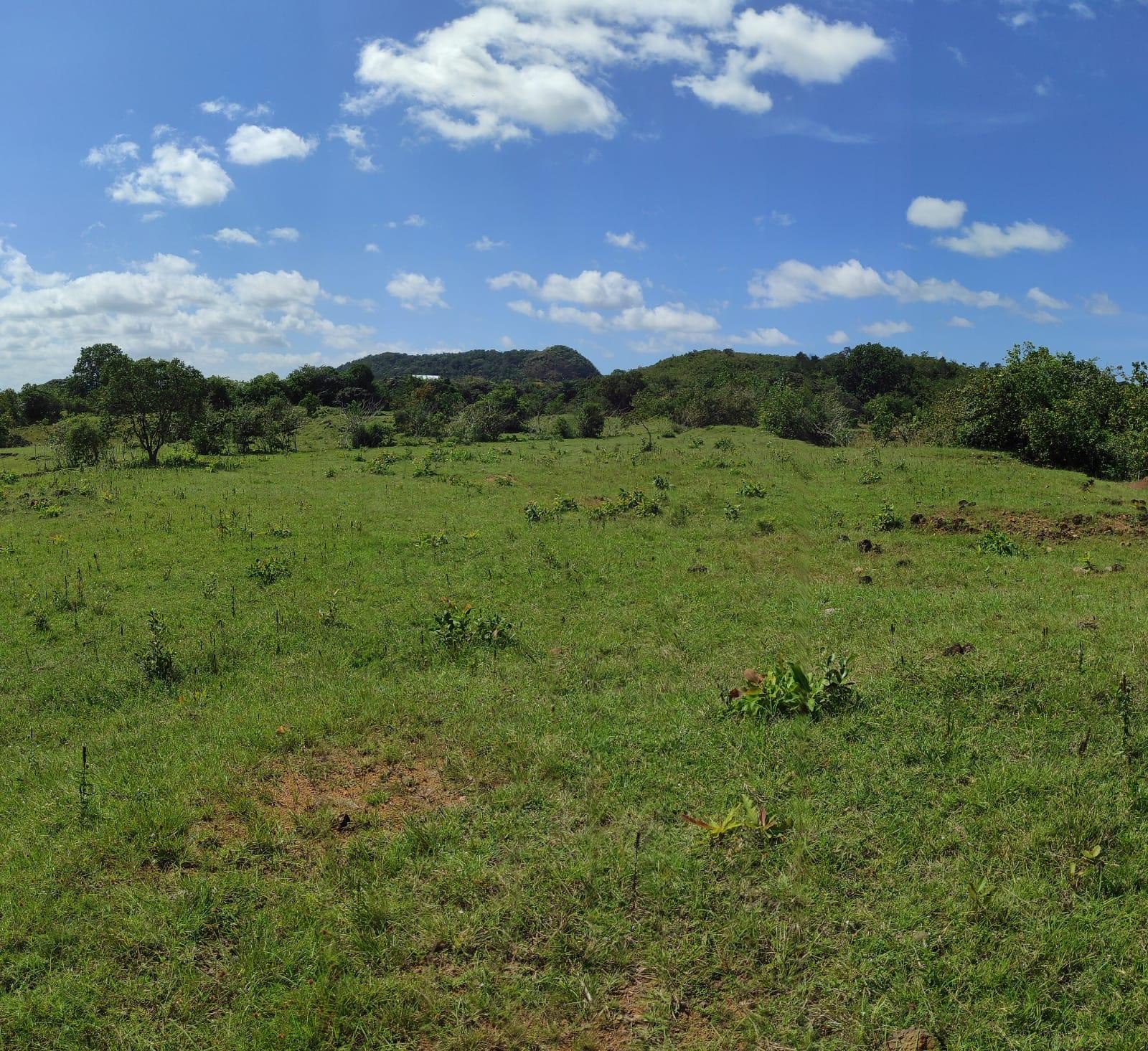 res-00005c23-05.jpg