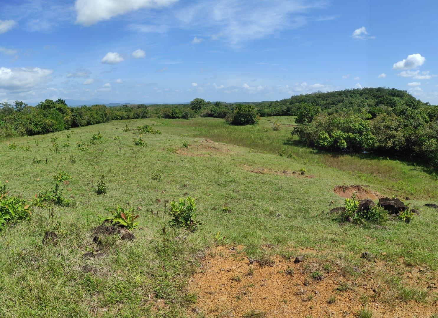 res-00005c23-06.jpg