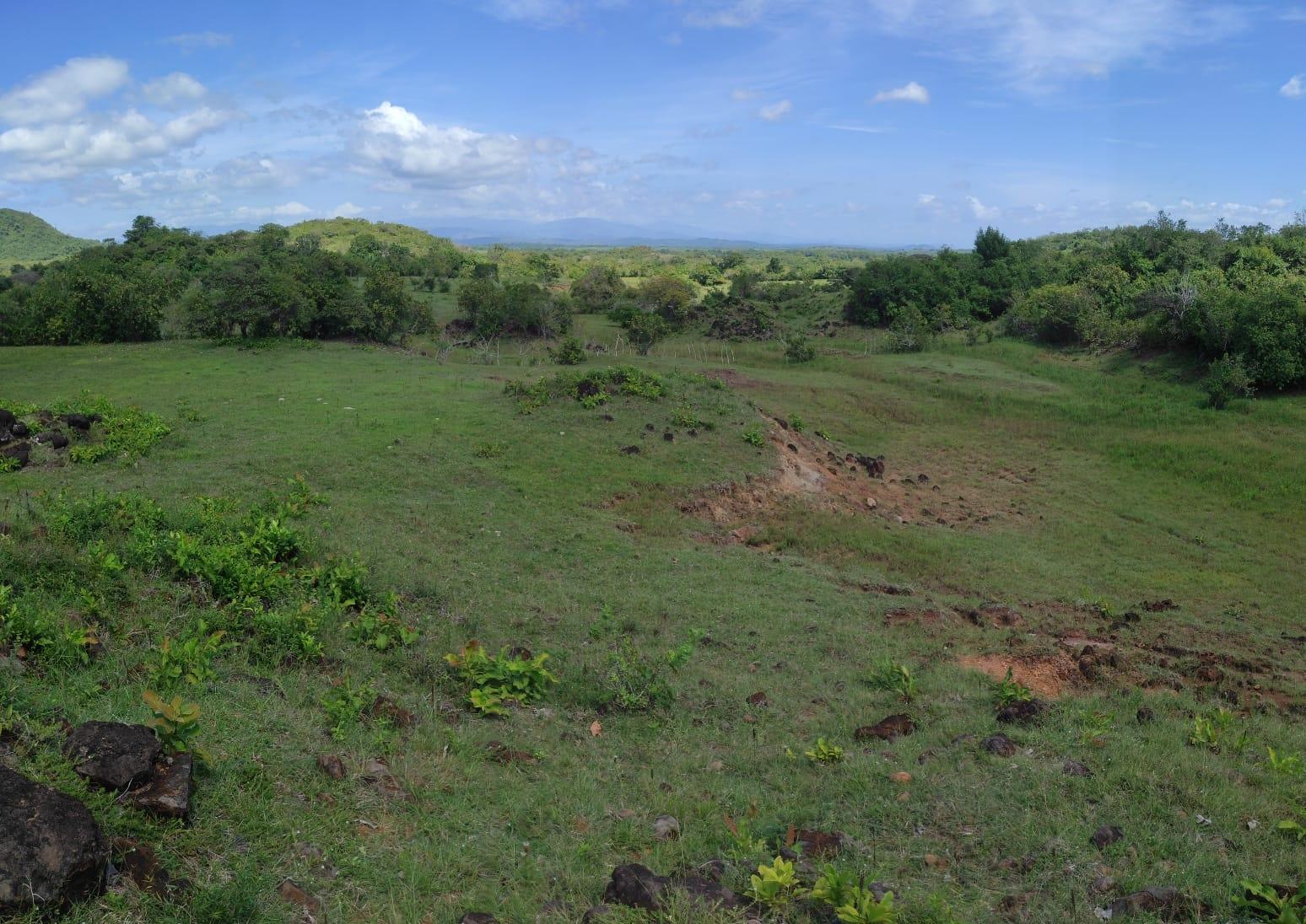 res-00005c23-07.jpg