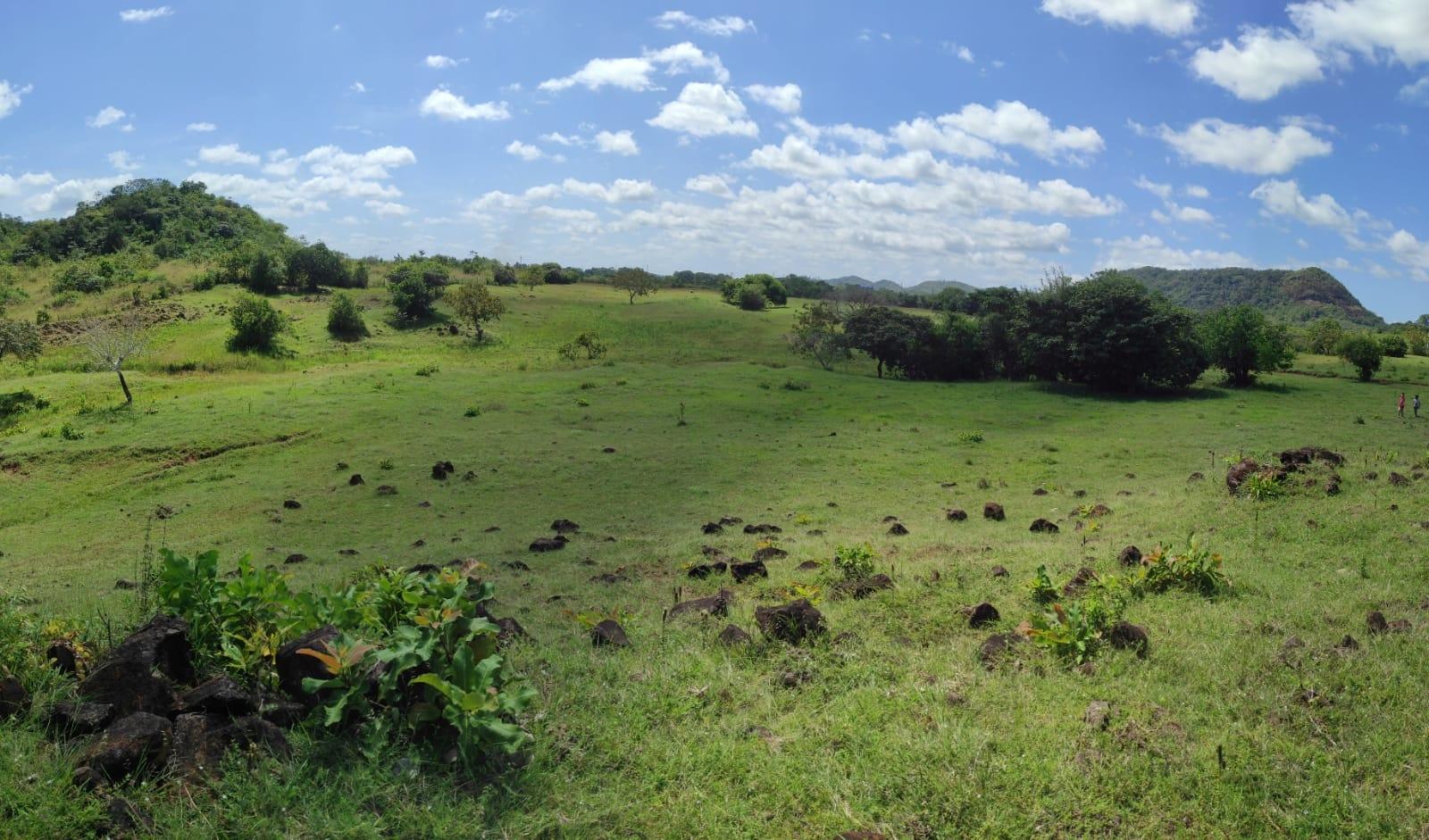 res-00005c23-08.jpg