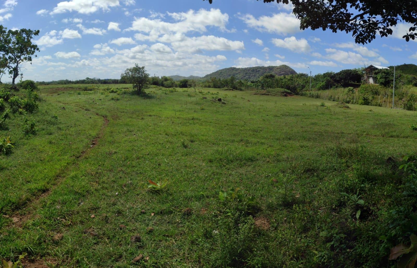 res-00005c23-10.jpg