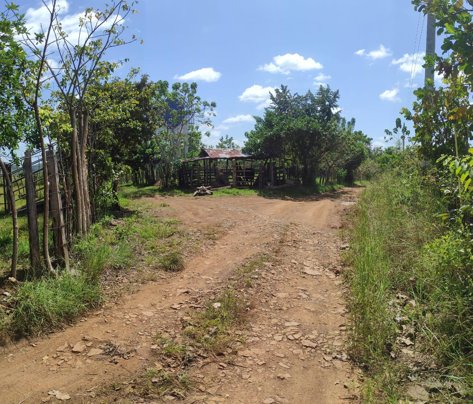 res-00005c23-11.jpg