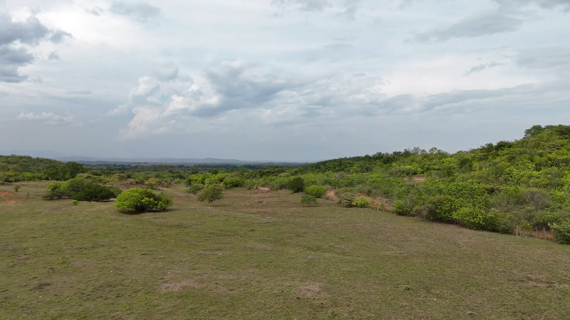 res-00005c23-13.jpg