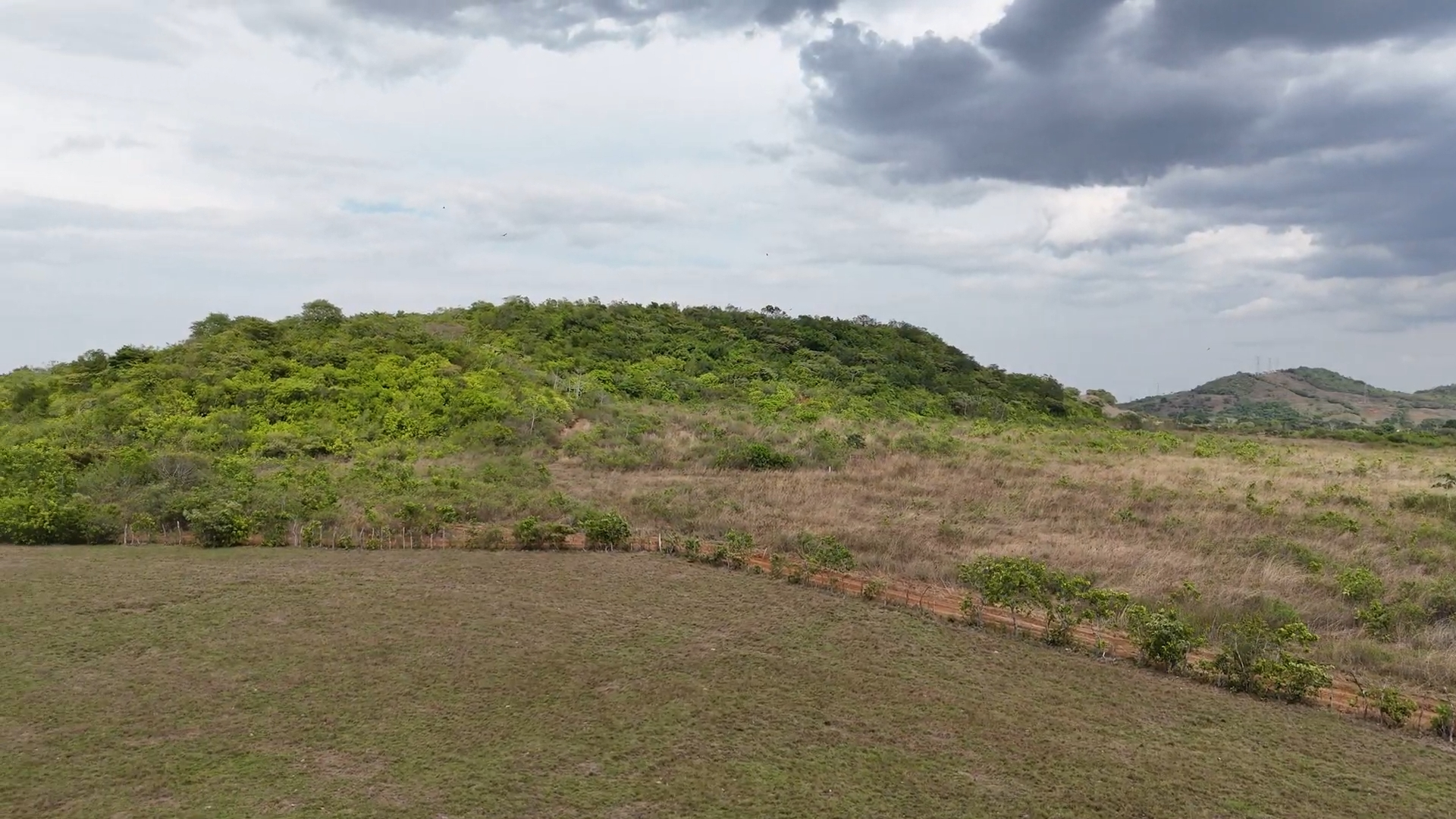 res-00005c23-15.jpg