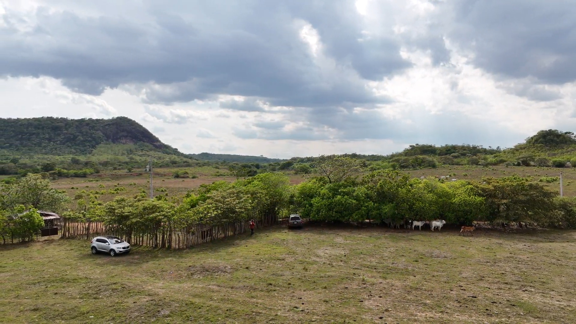 res-00005c23-17.jpg