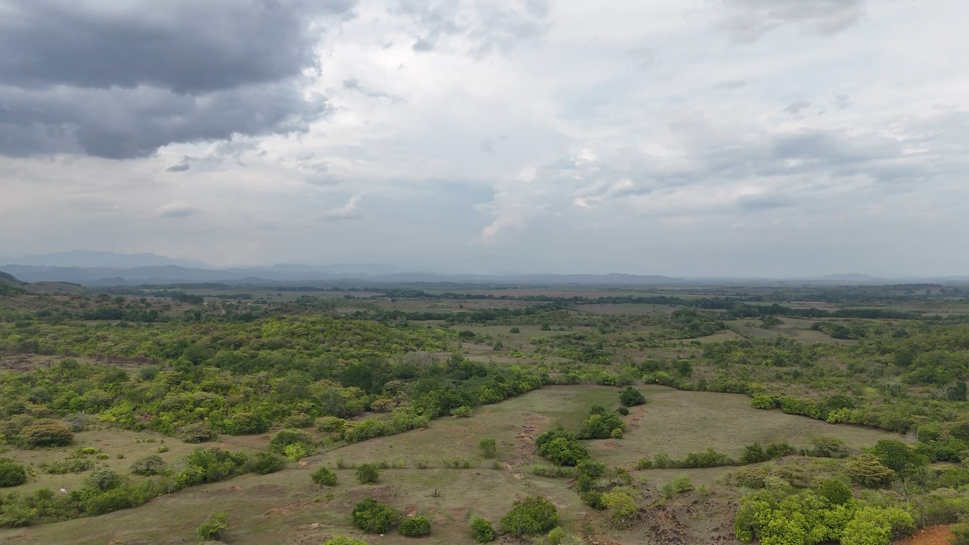 res-00005c23-18.jpg