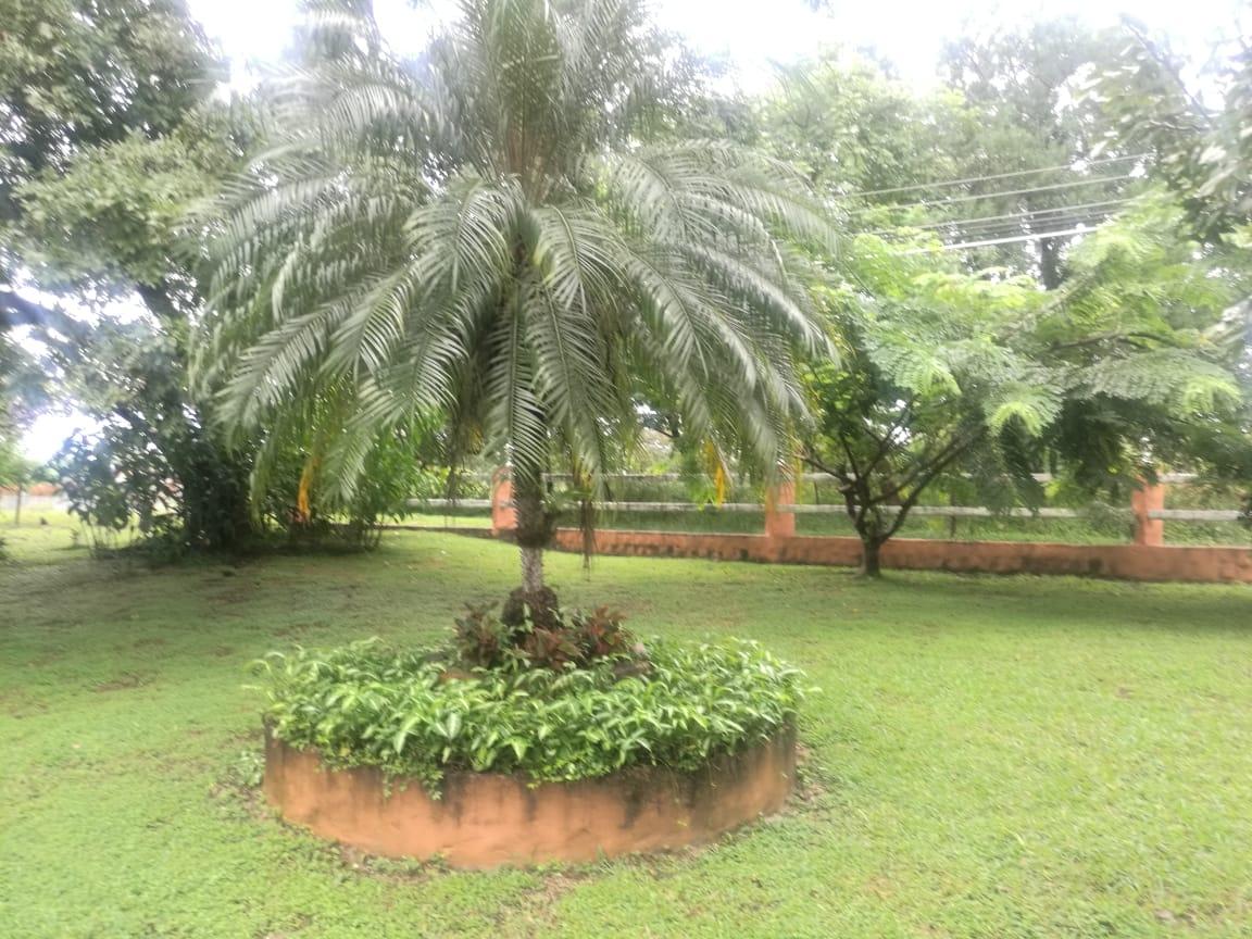 res-00005c32-16.jpg