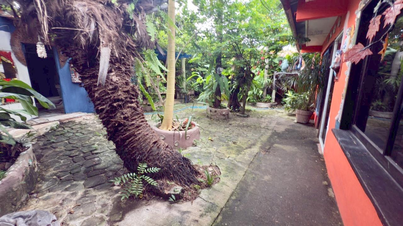 res-00005c4e-10.jpg