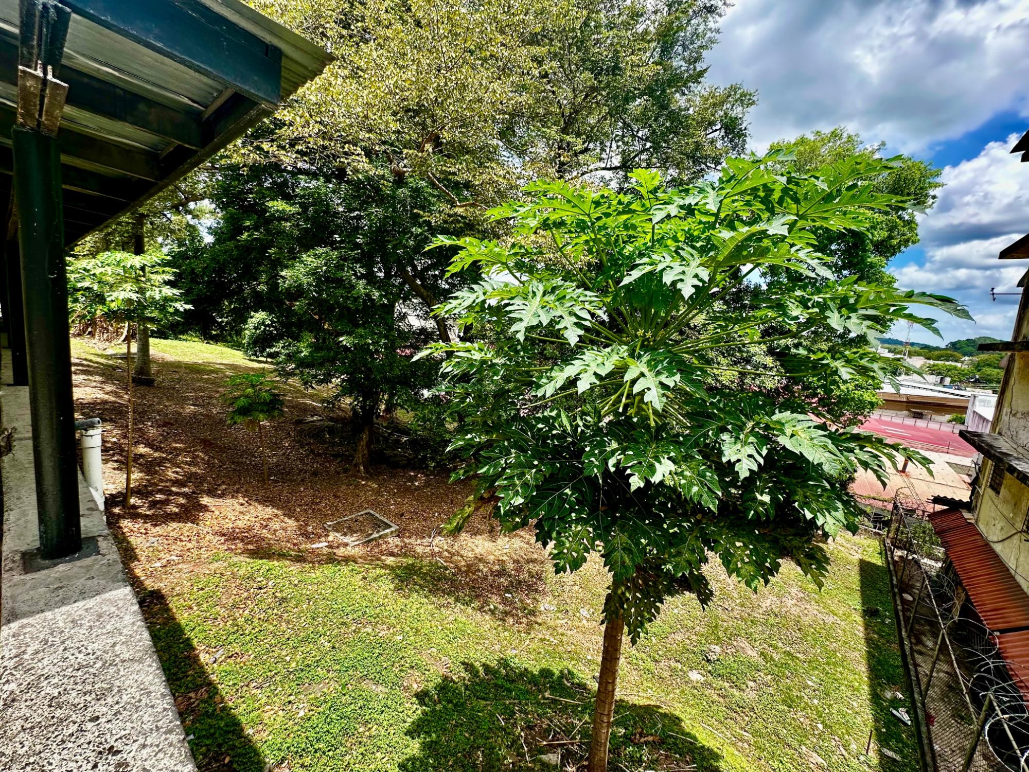 res-00005c54-13.jpg