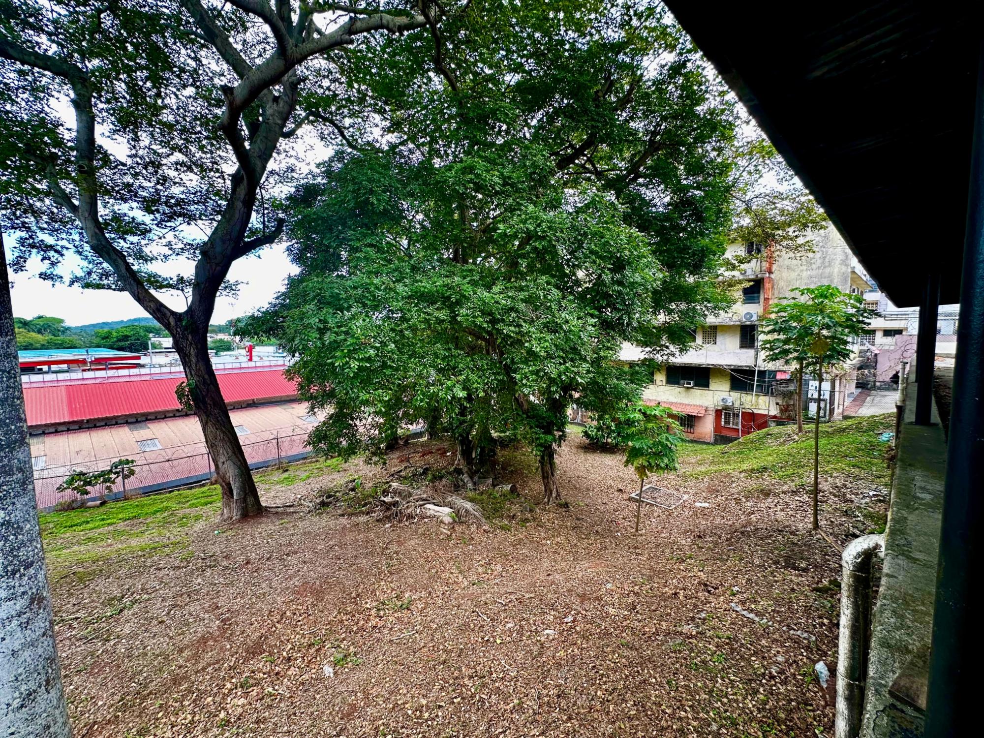 res-00005c54-16.jpg