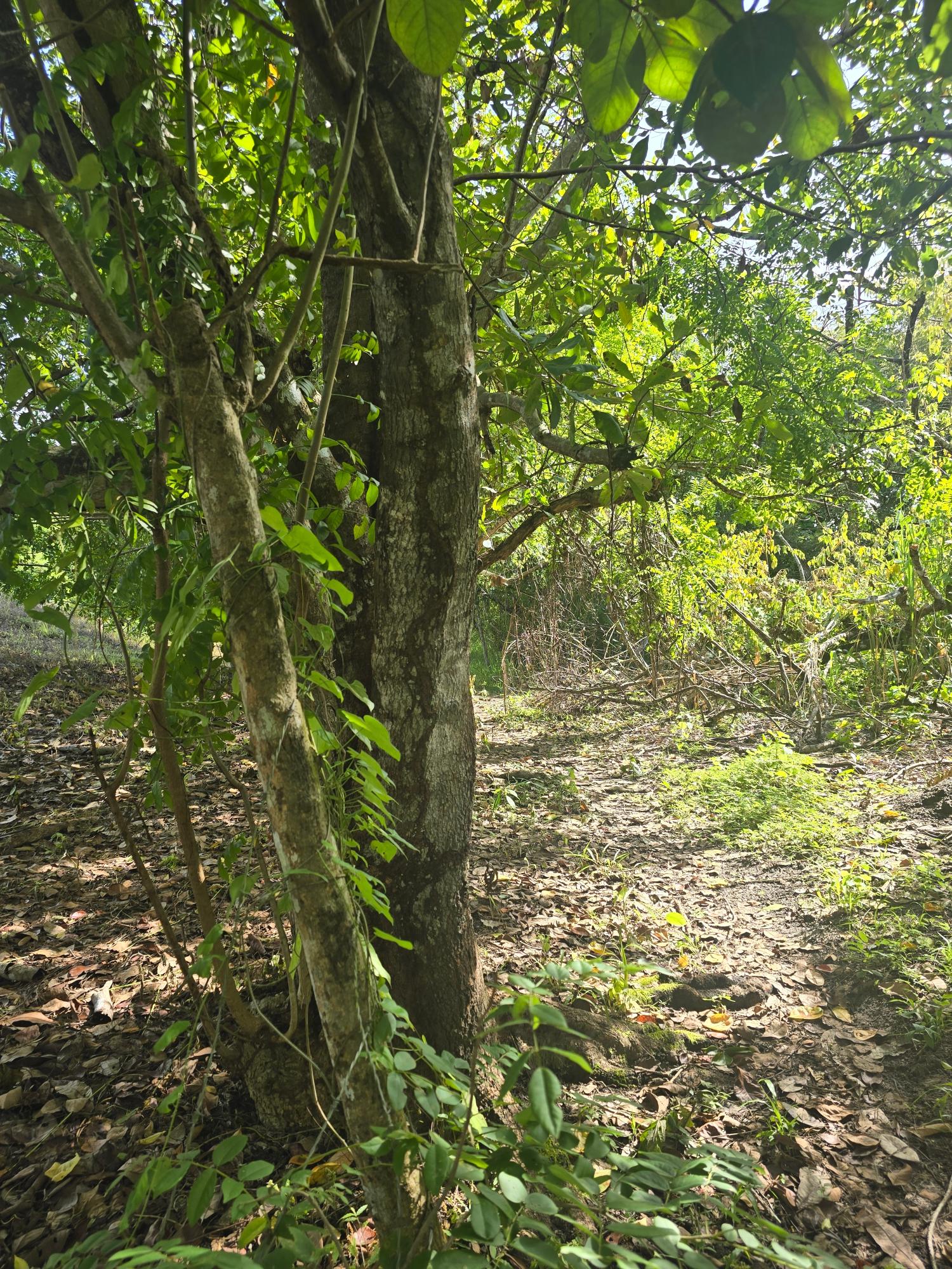 res-00005c5c-01.jpg