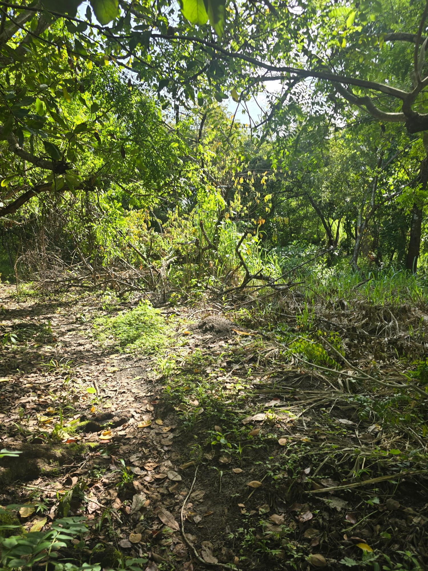 res-00005c5c-02.jpg