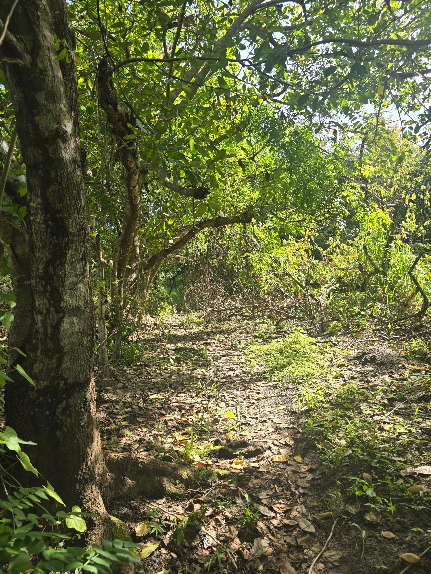 res-00005c5c-03.jpg