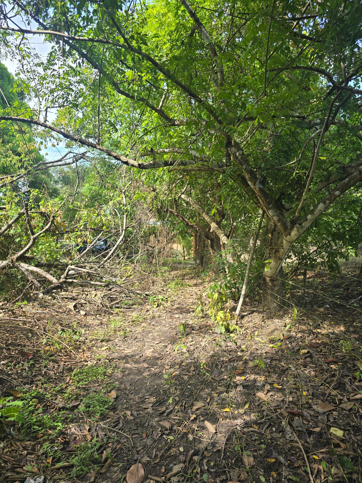 res-00005c5c-04.jpg