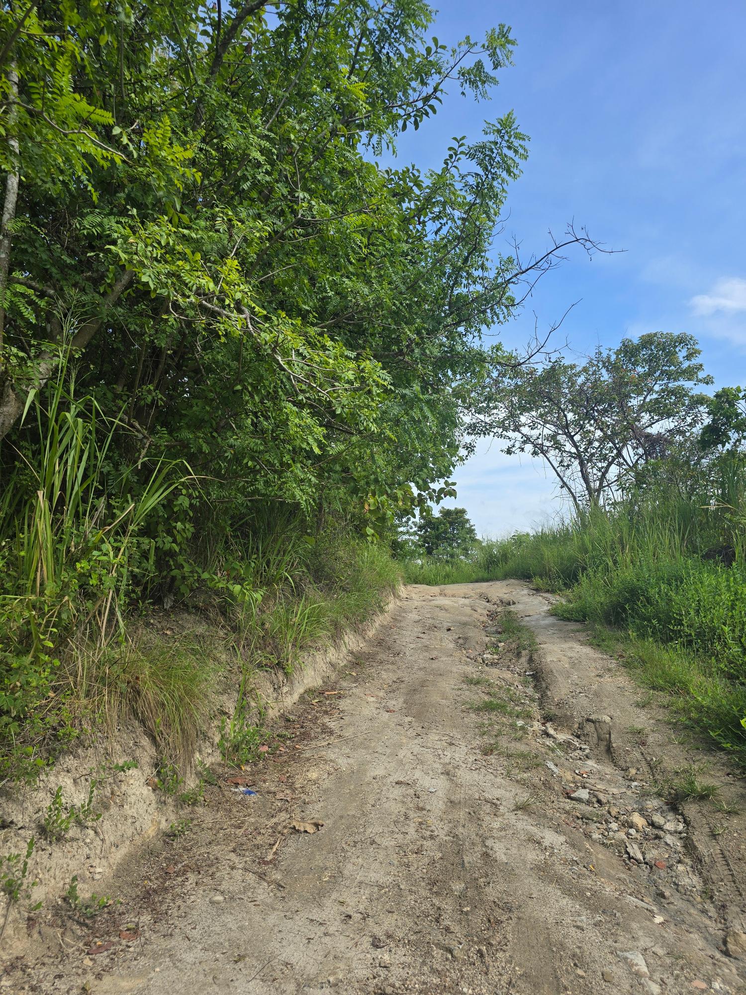 res-00005c5c-06.jpg