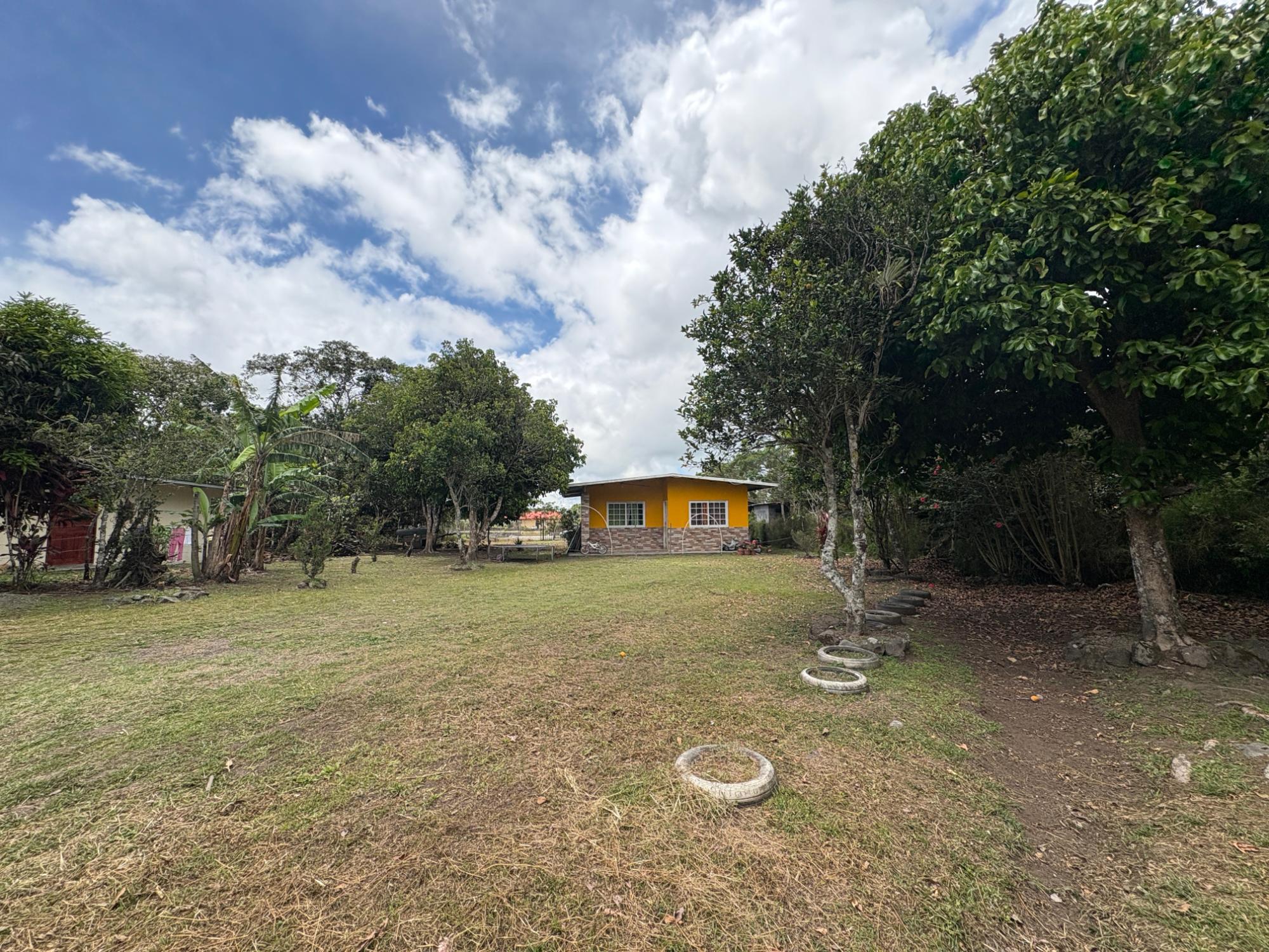 res-00005c91-10.jpg