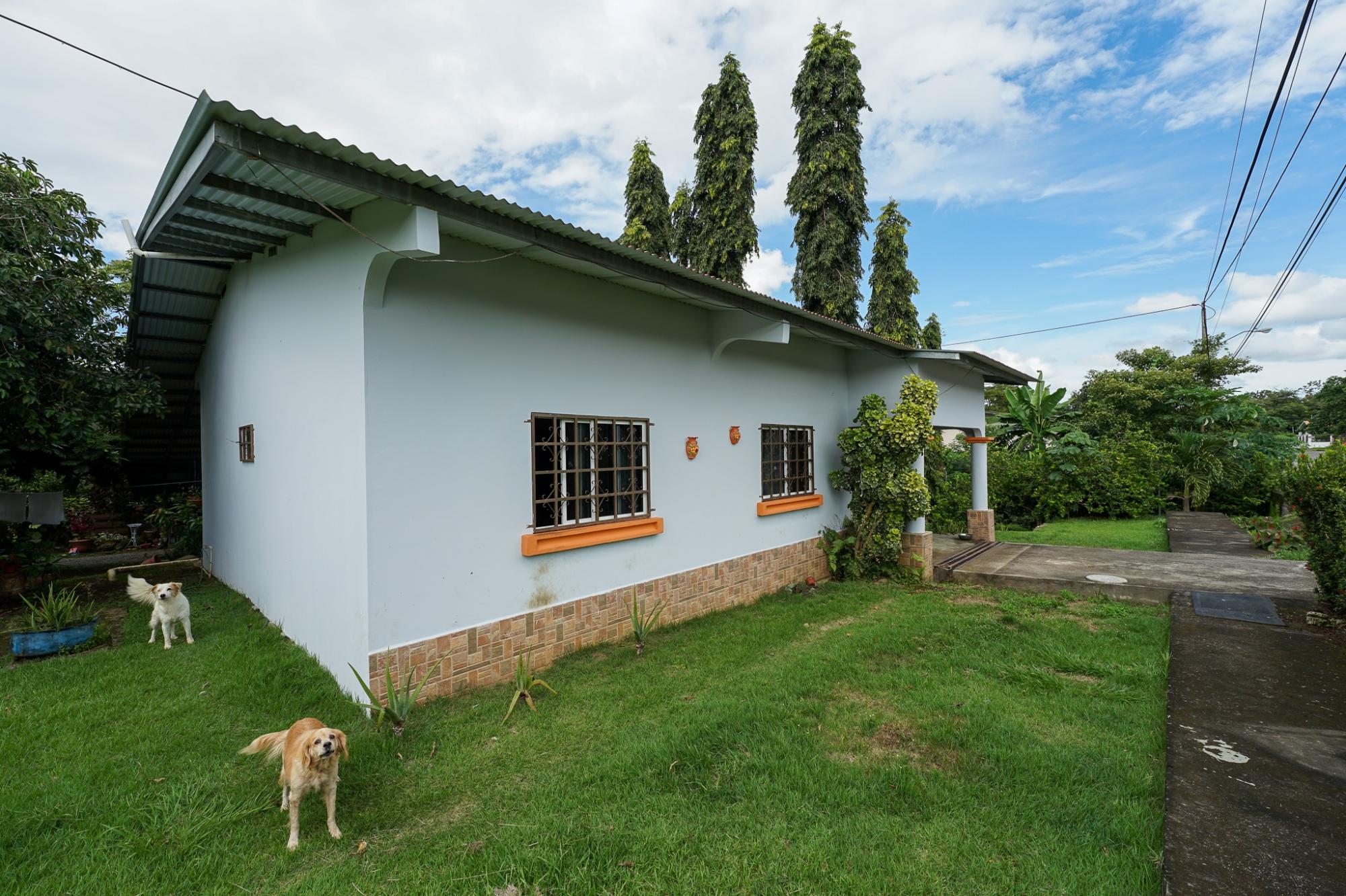 res-00005c92-03.jpg
