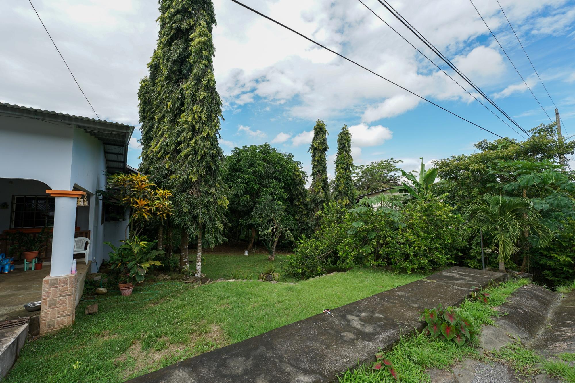res-00005c92-06.jpg