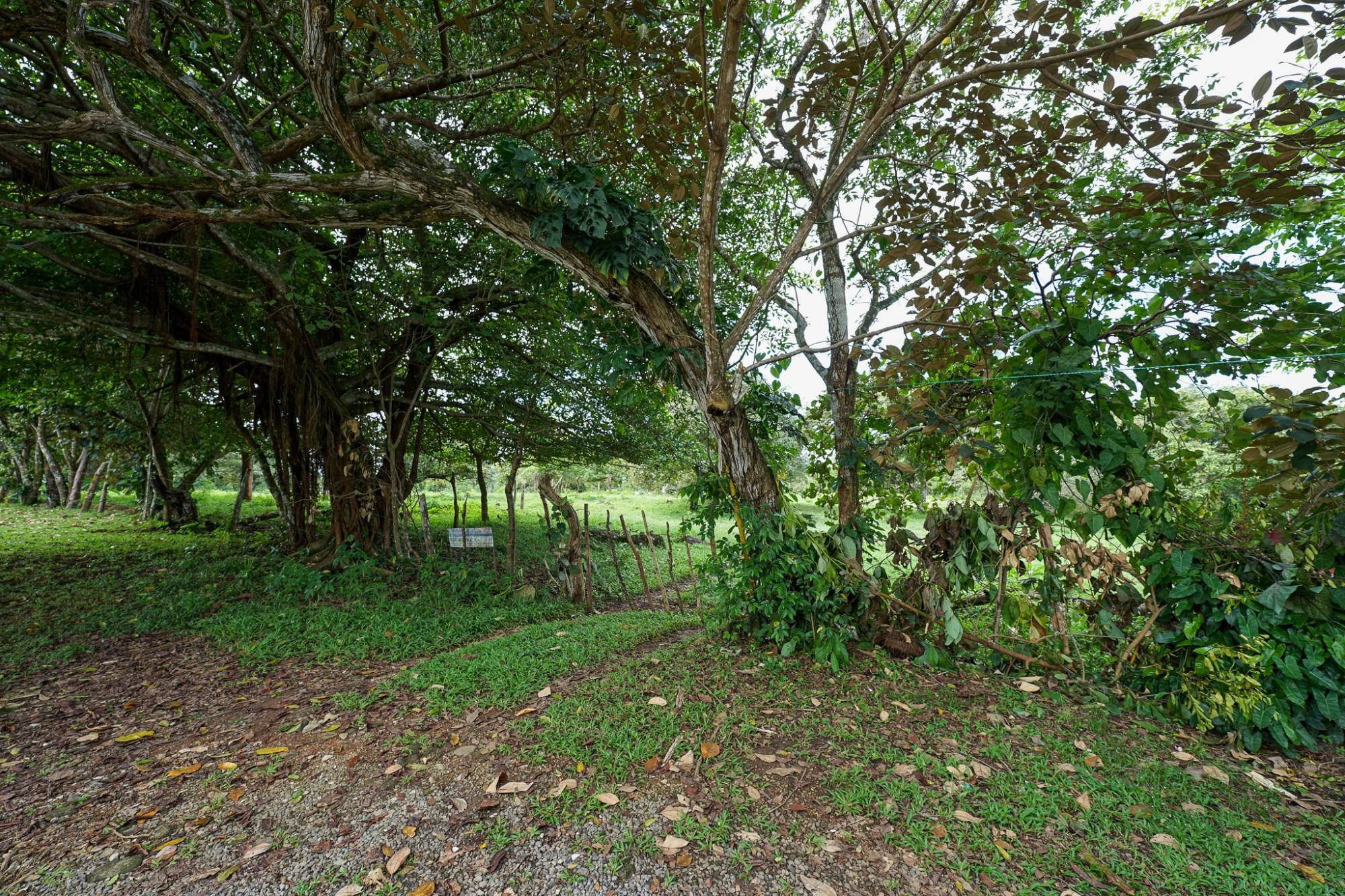 res-00005c92-08.jpg