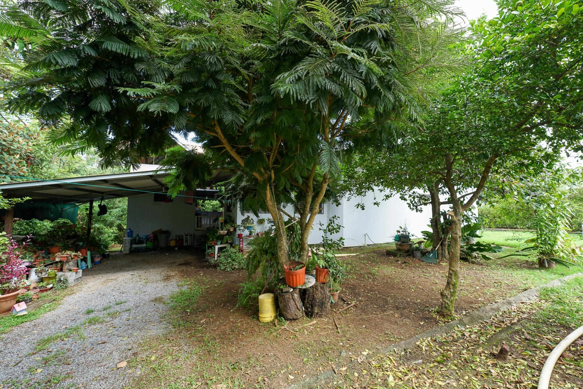 res-00005c92-09.jpg