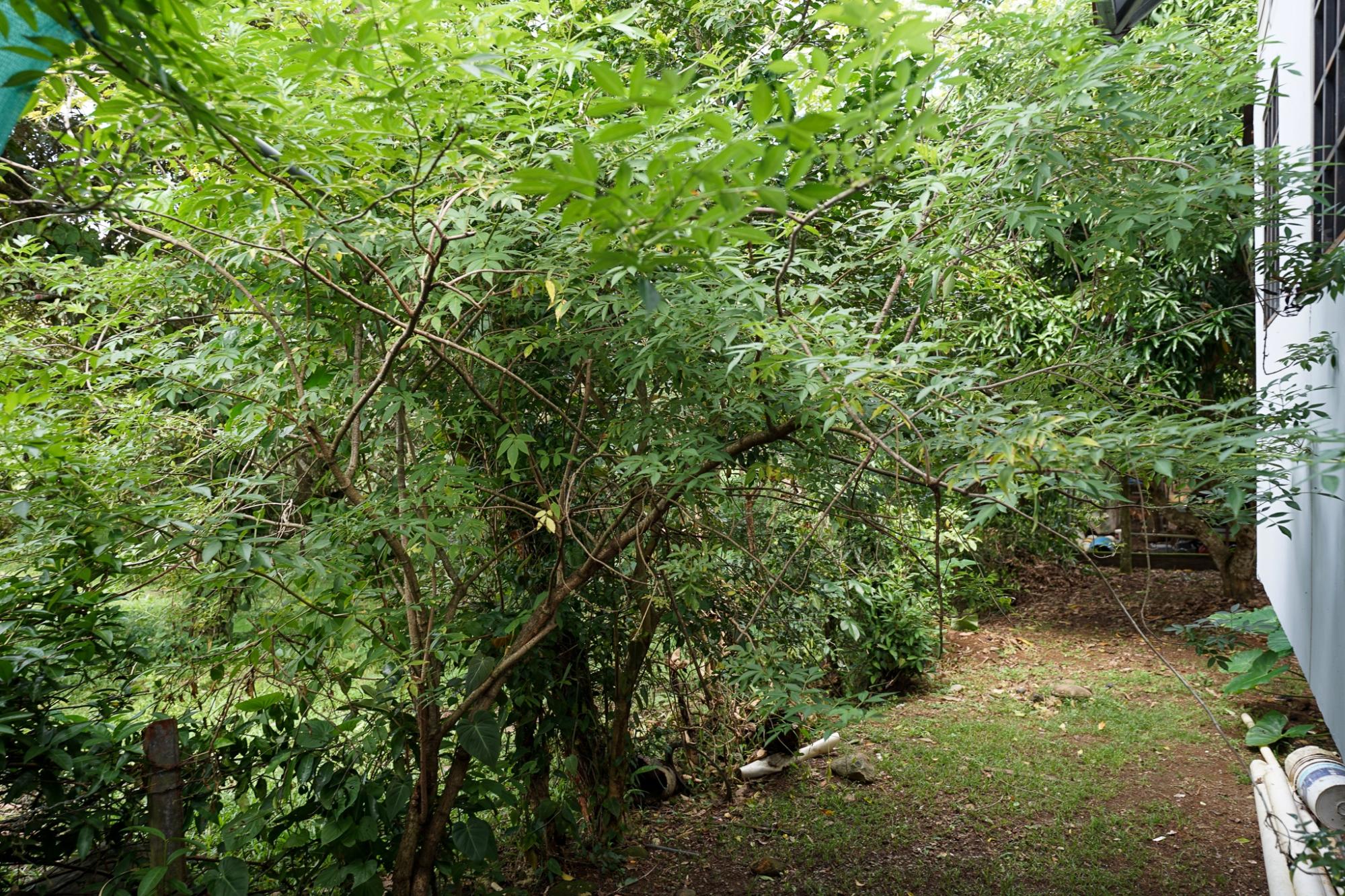 res-00005c92-12.jpg