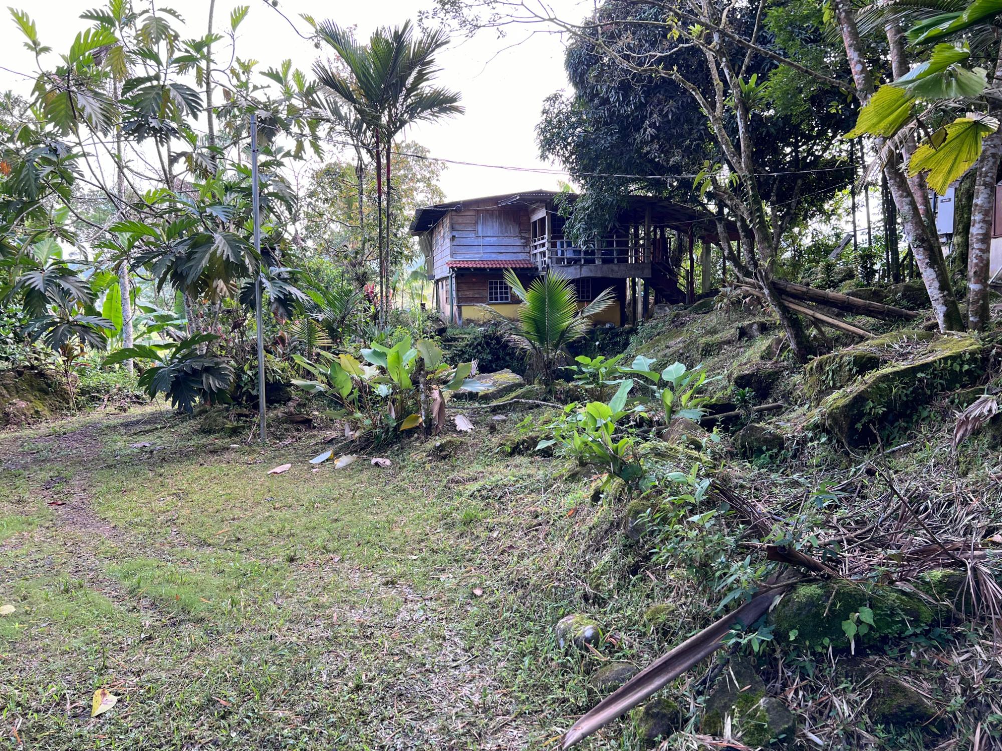 res-00005c94-17.jpg