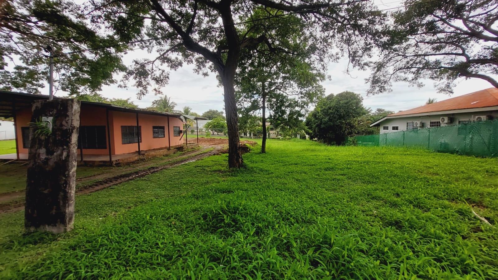 res-00005caa-12.jpg