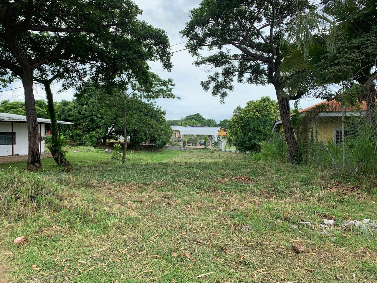 res-00005caa-16.jpg