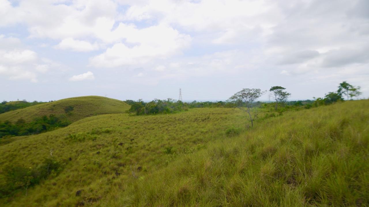 res-00005cbe-07.jpg